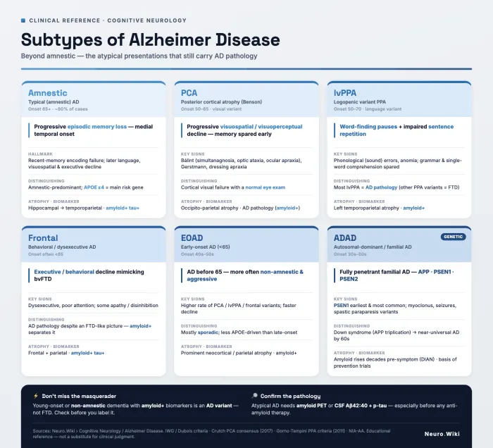 Subtypes of Alzheimer Disease